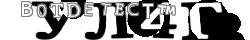 Retype the CAPTCHA code from the image